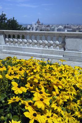 Budapest, Budai Vár (Budavári Palota)-stock-foto