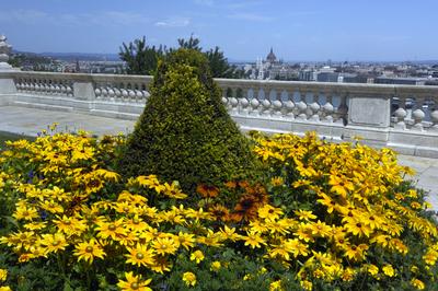 Budapest, Budai Vár (Budavári Palota)-stock-foto