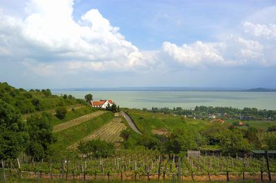 Badacsonyi panoráma a Szőlőhegyről.-stock-foto