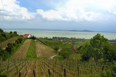 Badacsonyi panoráma a Szőlőhegyről.-stock-foto