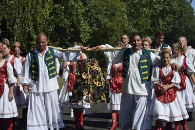 Szüreti felvonulás Badacsonyban-stock-foto