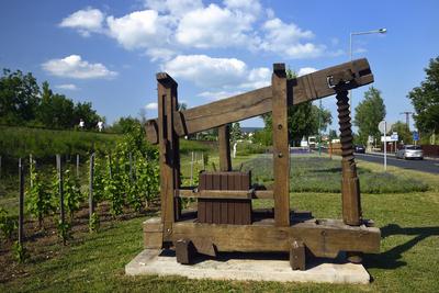 Régi szőlőprés Alsóörsön-stock-foto