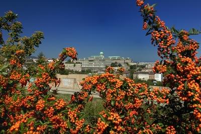 Budapest, a Budavári Palota látványa-stock-foto