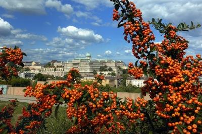 Budapest, a Budavári Palota látványa-stock-foto