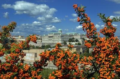 Budapest, a Budavári Palota látványa-stock-foto