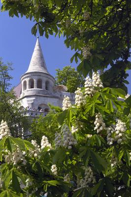 Budapest, Halászbástya-stock-foto