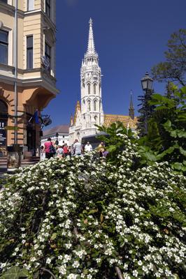 Budapest, Mátyás-templom-stock-foto