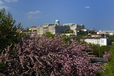 Budapest, a Budavári Palota látványa-stock-foto