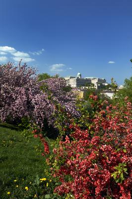 Budapest, a Budavári Palota látványa-stock-foto