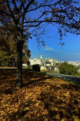 Budapest, ősz a Gellért-hegyen-stock-foto