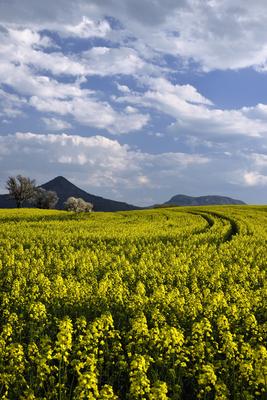 Balaton-felvidék-stock-foto