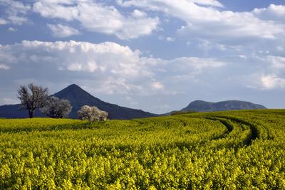 Balaton-felvidék-stock-foto