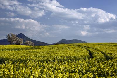 Balaton-felvidék-stock-foto