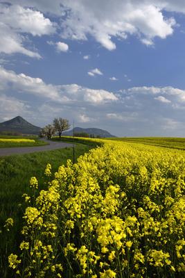 Balaton-felvidék-stock-foto