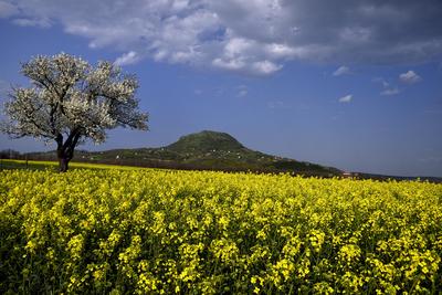 Balaton-felvidék-stock-foto