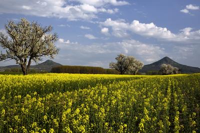 Balaton-felvidék-stock-foto