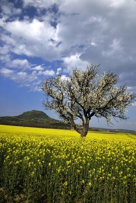Balaton-felvidék-stock-foto