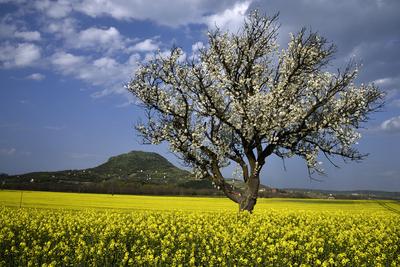 Balaton-felvidék-stock-foto
