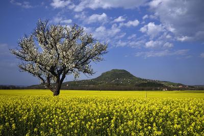 Balaton-felvidék-stock-foto