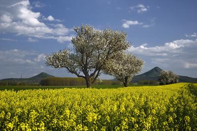 Balaton-felvidék-stock-foto