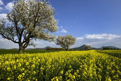 Balaton-felvidék-stock-foto