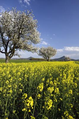Balaton-felvidék-stock-foto