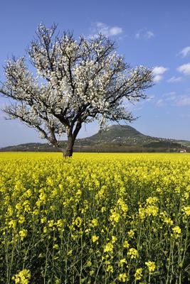 Balaton-felvidék-stock-foto
