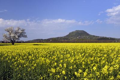 Balaton-felvidék-stock-foto