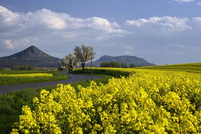 Balaton-felvidék-stock-foto