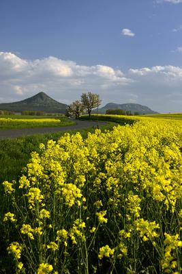 Balaton-felvidék-stock-foto
