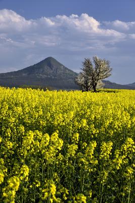 Balaton-felvidék-stock-foto