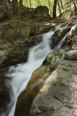 Bakonynána - Római fürdő-stock-foto