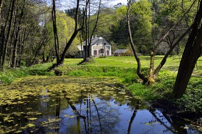 Bakonynána-stock-foto
