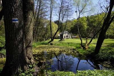Bakonynána-stock-foto
