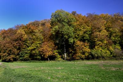 Bakonybél-stock-foto