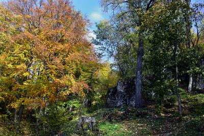 Bakonybél-stock-foto