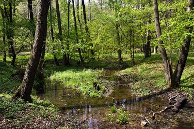 Bakonybél-stock-foto