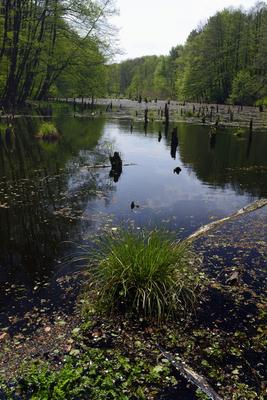 Bakonybél-stock-foto