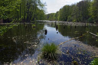 Bakonybél-stock-foto