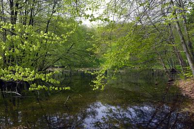 Bakonybél-stock-foto
