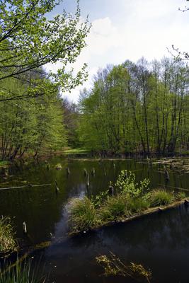 Bakonybél-stock-foto
