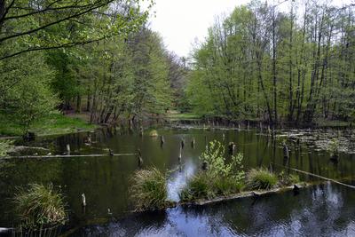 Bakonybél-stock-foto