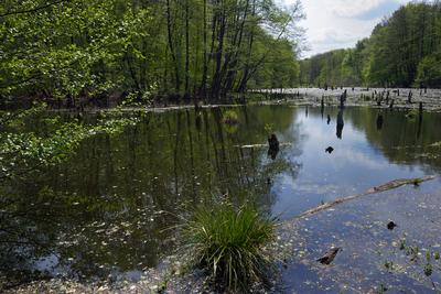 Bakonybél-stock-foto