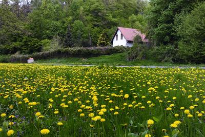 Bakonybél-stock-foto