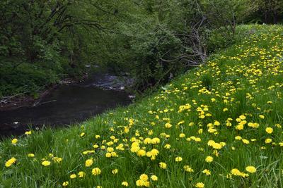 Bakonybél-stock-foto
