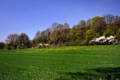 Bakonybél-stock-foto