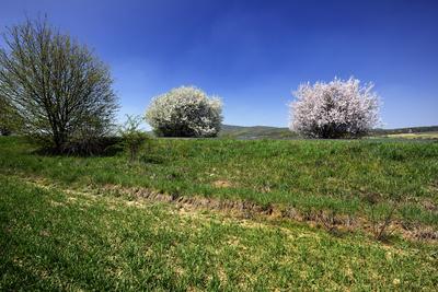 Bakonybél-stock-foto