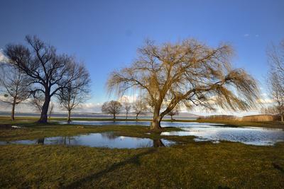 Balatonberény-stock-foto