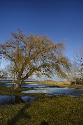 Balatonberény-stock-foto