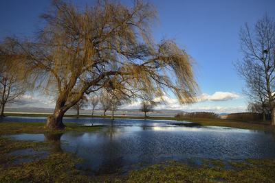 Balatonberény-stock-foto